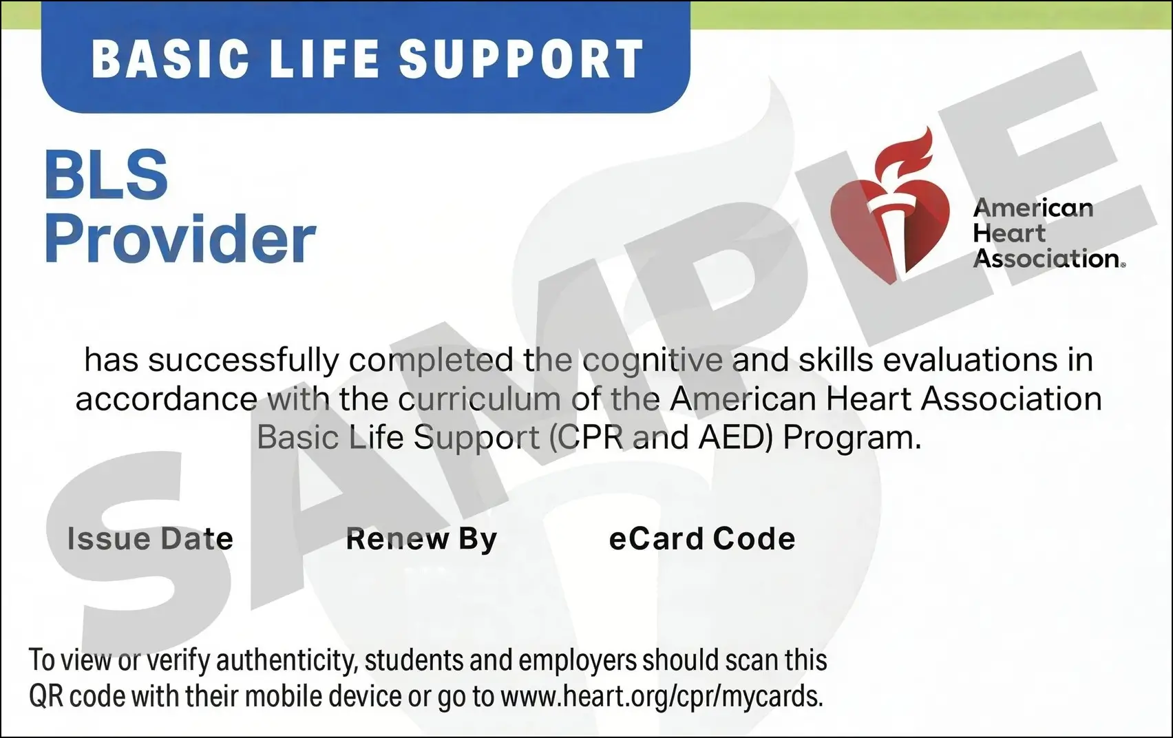 Sample American Heart Association AHA BLS CPR Card Certification from CPR Certification Huntsville